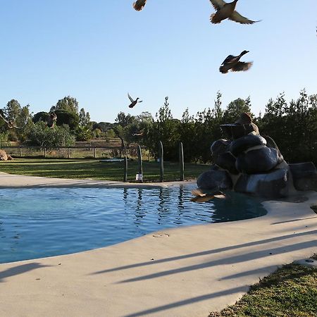 Ardea Purpurea Hotel บินยามาริเก เด ลา กอนเดซา ภายนอก รูปภาพ