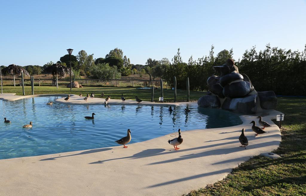Ardea Purpurea Hotel บินยามาริเก เด ลา กอนเดซา ภายนอก รูปภาพ