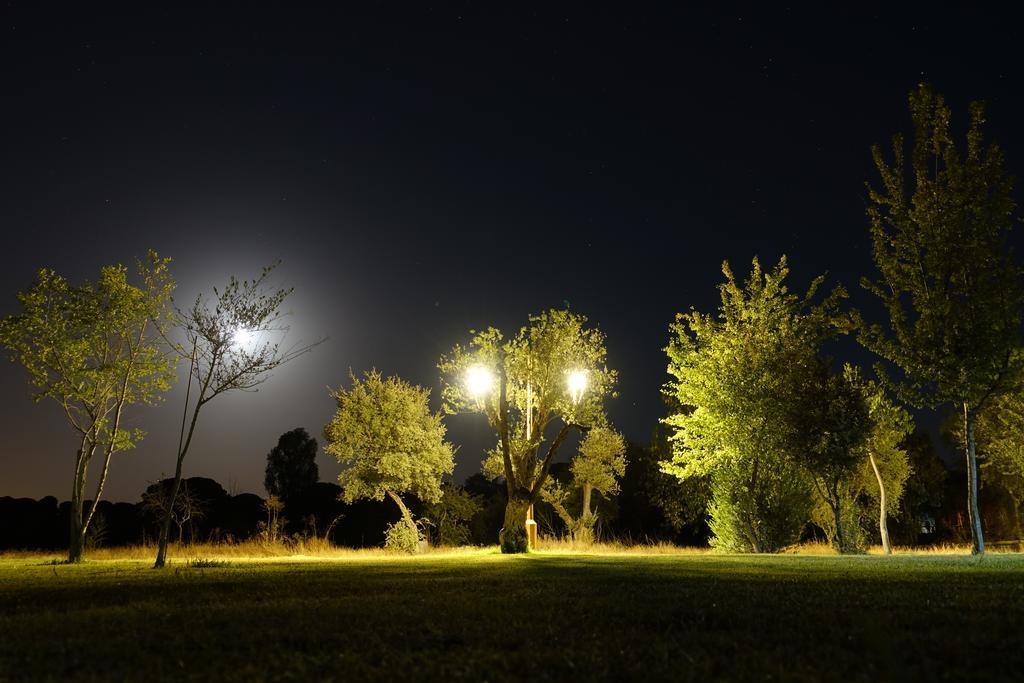 Ardea Purpurea Hotel บินยามาริเก เด ลา กอนเดซา ภายนอก รูปภาพ